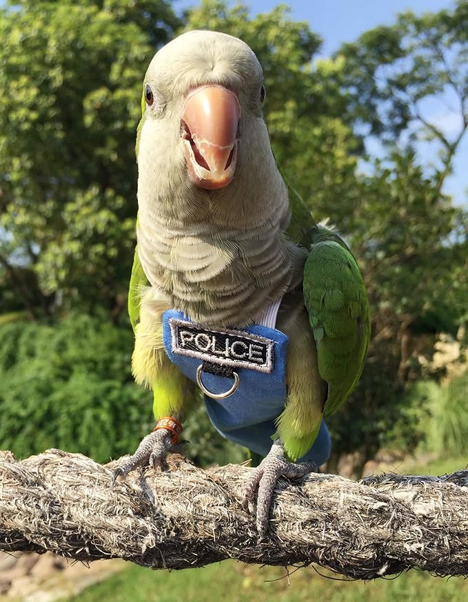 Poli(L) Bird Flight Suits & Diapers - Reusable, Waterproof Pet Bird Supplies