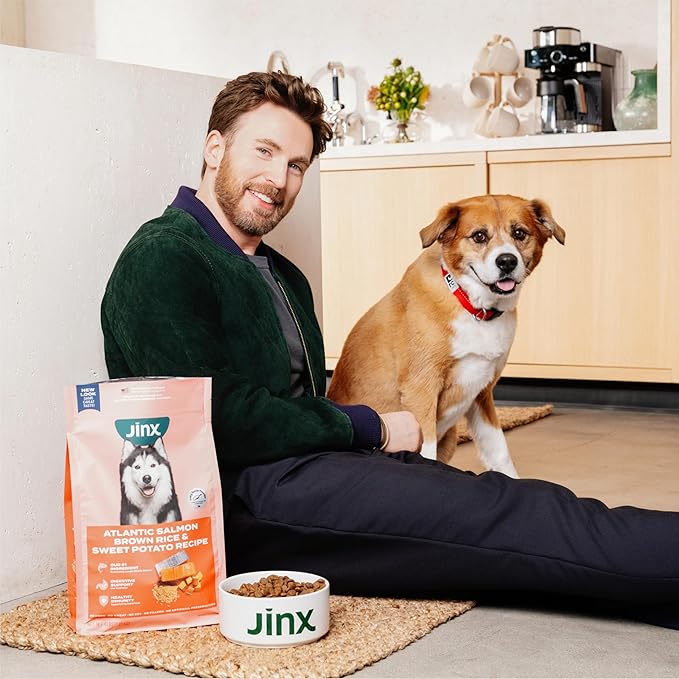 Jinx Premium Dry Dog Food, for All Lifestages - Real Beef, Brown Rice & Sweet Potato Kibble with Superfoods for Immune Support & Probiotics for Digestive Support - No Fillers - 4lb