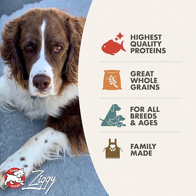 Fromm Four-Star Nutritionals Trout & Whitefish Dog Food - Premium Dry Dog Food - Trout Recipe - 26 lb