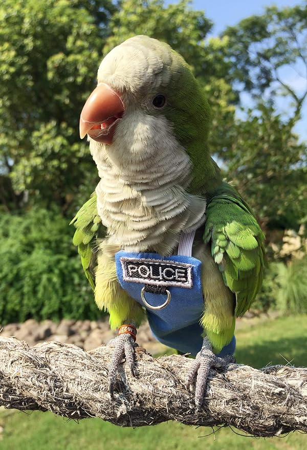 Poli(L) Bird Flight Suits & Diapers - Reusable, Waterproof Pet Bird Supplies