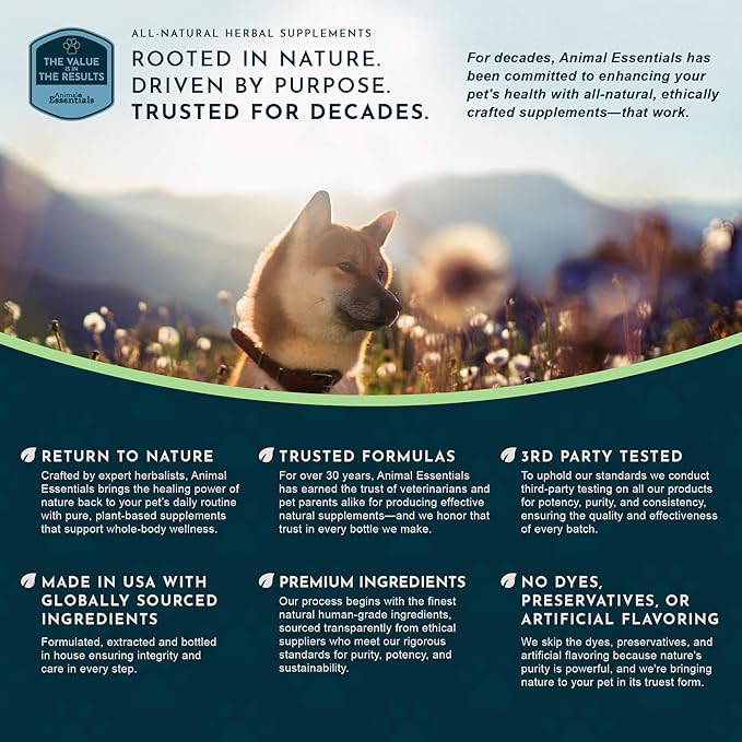 Animal Essentials Colon Rescue Powder - Herbal Digestive Aid for Dogs & Cats, Phytomucil, Healthy Gastrointestinal Tract, Certified Organic Herbs, No Preservatives, Glycerin-Based Formula - 1 Oz