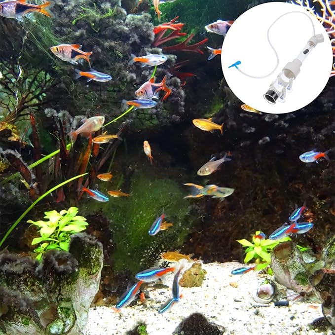 Milisten Cichlid Fish Egg Incubator Tumbler 40mm Mouth-Brooding Aquarium Breeding Tank Hatchery Accessory for Tropical Fish Fry Hatchery Random Style