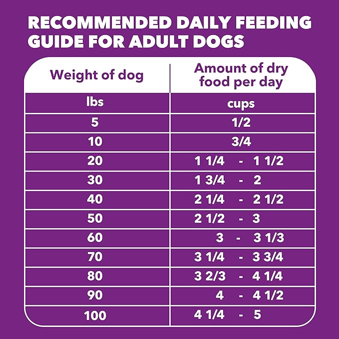 IAMS Advanced Health Skin & Coat Dry Dog Food, Adult Dog Food Dry Chicken and Salmon Recipe, 13.5 lb. Bag