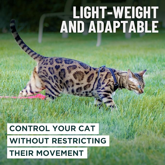Houdini™ Escape Proof Kitten Harness and Leash Set by OutdoorBengal – Extra Small – Comfy, Adjustable and Lightweight - Houdini Cat Harness Escape Proof for Small Cats + Cat Leash 6ft (Multicolor, XS)