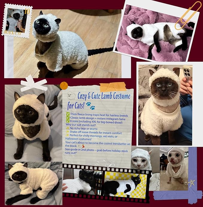 Warm Fleece Lined Winter Clothing for Sphynx & Devon Rex Cats | Soft Faux Lamb Wool | Cozy and Comfortable (Sheep Costume,S About 1.5-2kg/3.3-4.4pounds)