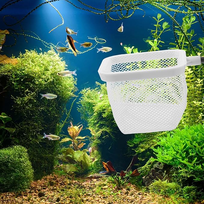 Totority Fish Tank Breeder Net with Suction Cups Durable Isolation Box for Shrimp and Betta Fish Easy Installation and Cleaning Spawning and Protection of Newborns