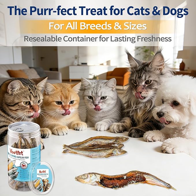 Whole Capelin Cat Treats Freeze Dried - Crunchy Dental Sticks, Single Ingredient Snacks, Rich in Natural Oils for a Glossy Coat & Healthy Skin - No Grains, No Fillers 3.5oz