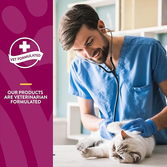 NaturVet – Hip & Joint for Cats Plus Omegas – 60 Soft Chews – Help Supports Healthy Hip & Joint Function – Enhanced with Antioxidants, Omega-3 & 6 Fatty Acids – 30 Day Supply