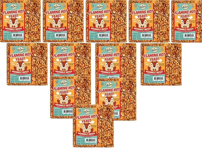 12-Pack of Mr. Bird Flaming Hot Feast Small Wild Bird Seed Cake 4 oz.