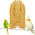 Fhiny Millet Spray for Birds, 2.2LB Natural Sun-Dried Millet for Birds Original Parakeet Food & Treats Spray for Parakeets Parrots Cockatiels Lovebirds Finches Budgies Hamsters