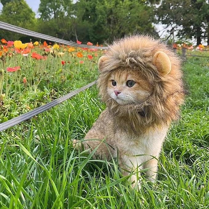 Lion Mane Wig for Cats, Adjustable Washable, Cat Lion Mane Wig for Halloween (Small)