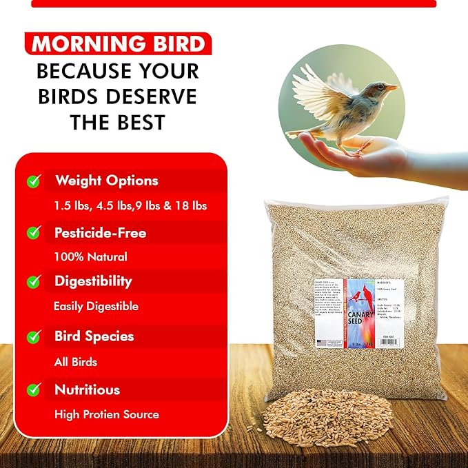 Morning Bird Canary Seed 9 lbs, Nutrient-Rich Bird Seed, Creamy Golden Grain Powerhouse - Supports Healthy Feathers & Strong Bones – Natural Daily Nutrition for All Bird Types