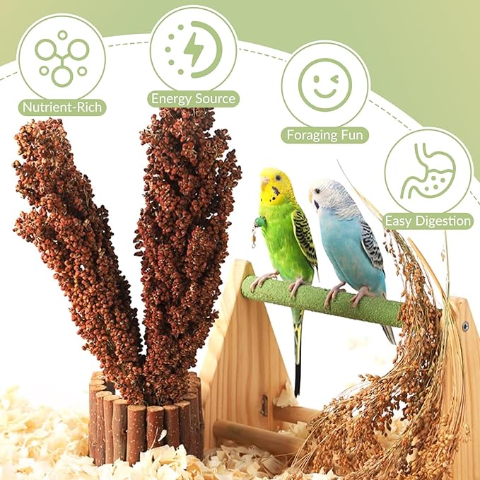 Fhiny Millet Spray for Birds, 3 PCS Natural Sun-Dried Red Sorghum Grain for Birds Seed Original Parrot Treats & Supplement Parakeet Food for Cockatiels Lovebirds Finches Budgies Pigeons Hamsters
