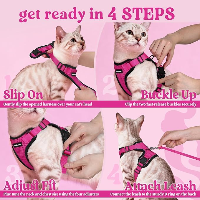 rabbitgoo Cat Harness and Leash for Walking, Escape Proof Soft Adjustable Vest Harnesses for Cats, Easy Control Breathable Reflective Strips Jacket, Rose Red, XXS