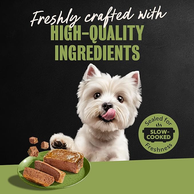 Cesar Classic Loaf in Sauce Adult Wet Dog Food Top Sirloin Flavor, 3.5 oz. Easy Peel Trays, 24 Count (Pack of 1)
