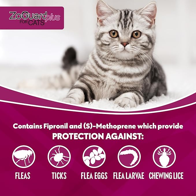 ZoGuard Plus Flea and Tick Prevention for Small Cats – Flea & Tick Prevention for Cats Over 1.5lbs (3 Doses)