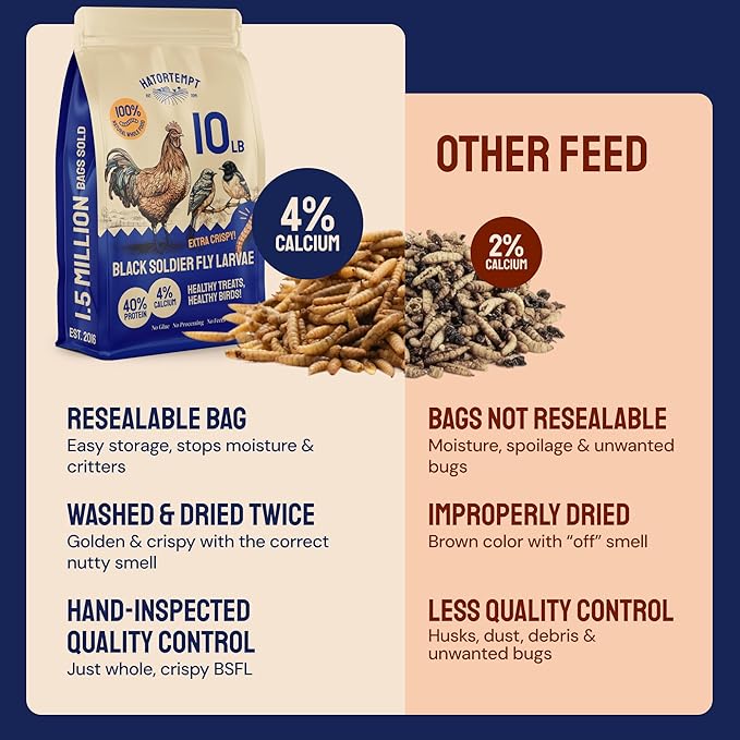 Hatortempt Black Soldier Fly Larvae - Calcium-Rich Chicken Feed Supplement - Treats for Laying Hens - Grubs for Chickens Training Rewards (10lb)