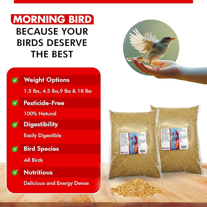 Morning Bird Golden German Millet 18 lbs (2-Pack, 9 lbs Each) – Natural Millet Seed for Birds – Natural Protein & Fiber Source – Easy-to-Digest Daily Nutrition for All Bird Types