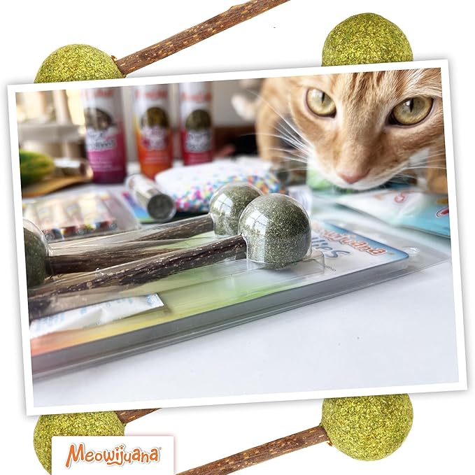 Meowijuana Lollies | Silvervine Sticks with Compressed Catnip | 5.5” Chew Sticks for Cats | Promote Healthy Chewing Habits and Dental Health | Freshly Harvested from Silverine Plants