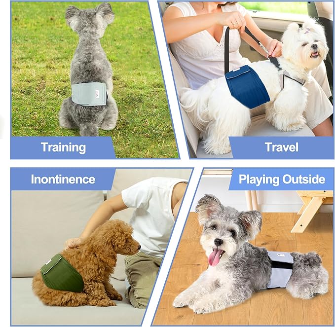 5 Pack Dog Diapers Male Reusable, Premium Belly Bands for Dogs, High Absorbing Male Dog Pee Wraps for Doggie in Incontinence or Excitable Urination Green S
