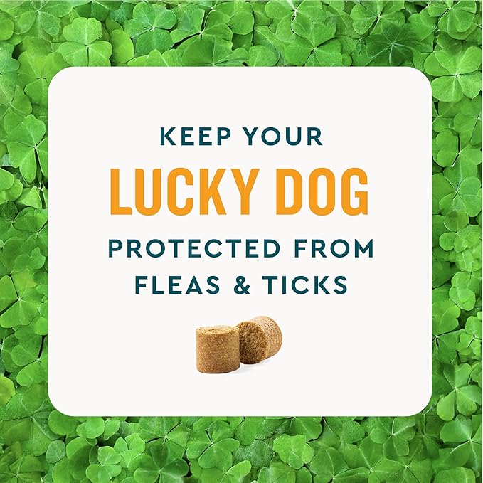 VetIQ Flea & Tick Support for Dogs, Flea and Tick Chewable, Supports Dog's Natural Flea Defenses, Free of Added Chemicals and Garlic, Hickory Smoke Flavor, 60 Count