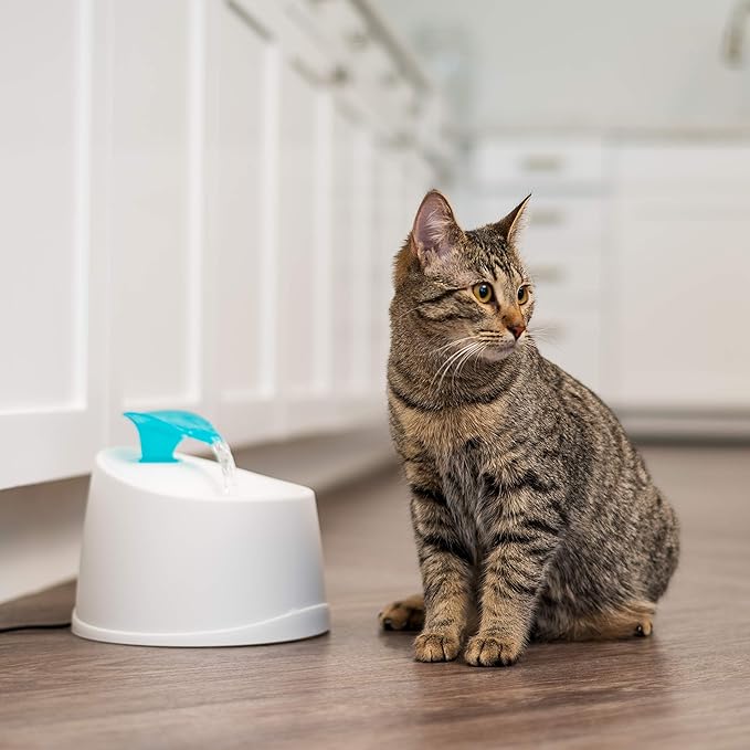 IRIS USA Cat Water Fountain, 44oz / 1.3L, Kitty Spout, Dog Fountain Water Bowl, Silent and Replaceable Charcoal Filter, White/Blue