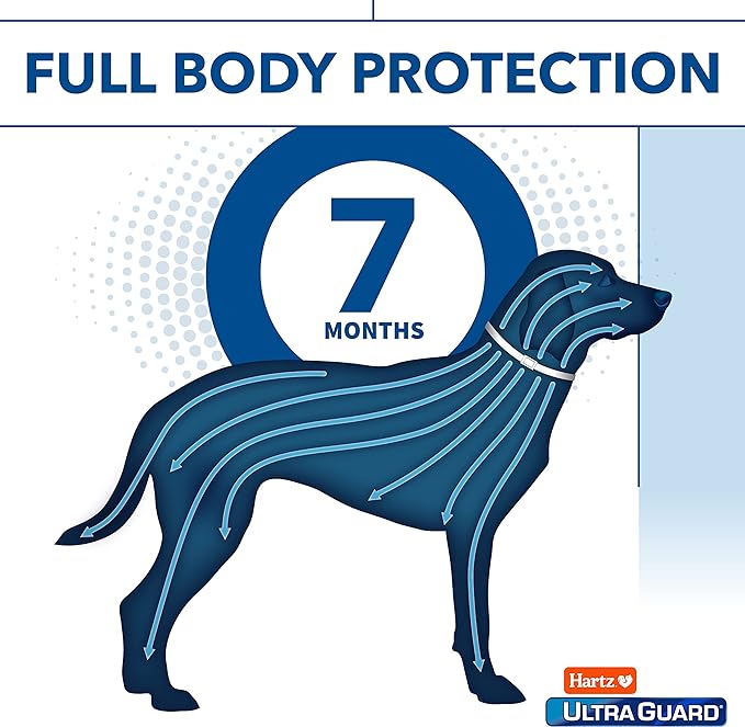 Hartz UltraGuard Flea & Tick Collar for Dogs and Puppies - 26" Neck, 7 Month Protection (Pack of 2)