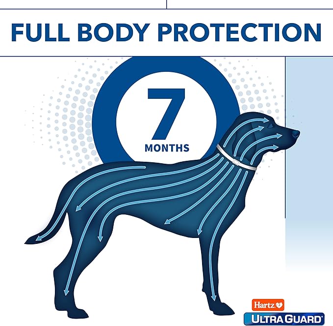 Hartz UltraGuard Flea & Tick Collar for Dogs and Puppies, 7 Month Flea and Tick Protection and Prevention Per Collar, White, Up to 20 Inch Neck