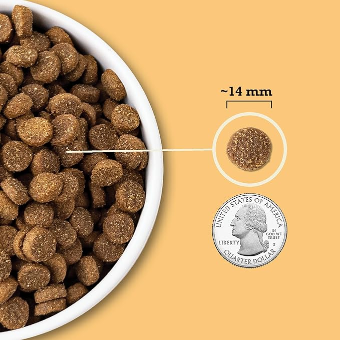 ACANA Wholesome Grains Dry Dog Food Free-Run Poultry & Grains Recipe with Cage-Free Eggs 4lb Bag