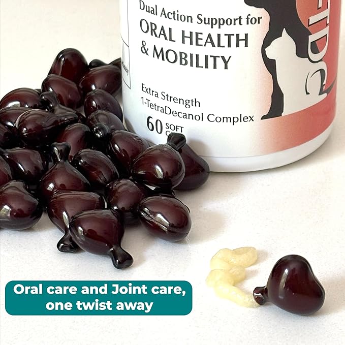 1TDC WorksSoWell Dual Action Hip and Joint Supplement for Dogs & Cats - for Large & Small Breed - Great for Oral Health, Stamina Recovery & Arthritis Pain Relief -60 ct