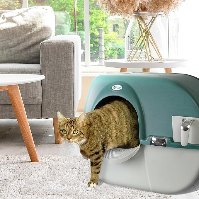 Omega Paw VMRA20-1-PR Premium Roll 'N Clean Large Self Cleaning Litter Box with Integrated Litter Step and Unique Sifting Grill, Forest Green