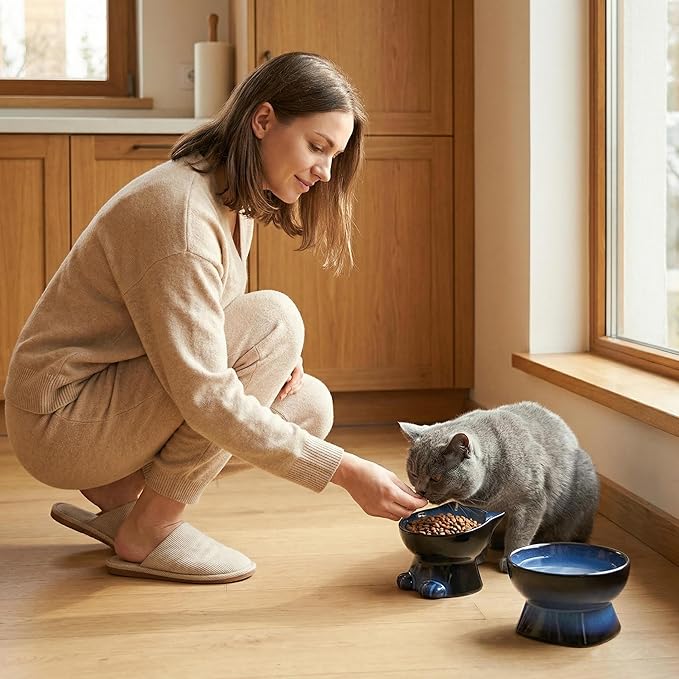 Nihow Elevated Cat/Dog Bowls Set : 6.2 Inch Ceramic Raised Cat Food & Water Bowl Set for Protecting Pet's Spine - Feeding & Watering Supplies for Cat/Small Size Dog - Elegant Blue & Black (2 PC)