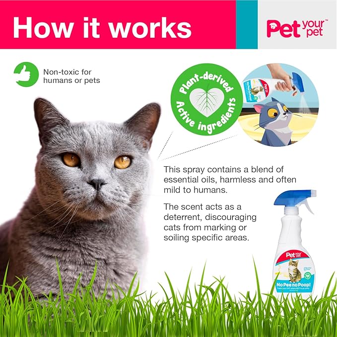 Cat Potty Training Spray No Pee No Poop, 16 Fl Oz, Non Toxic Spray for Cats Only, Natural Pee Deterrent, Stops Urine Marking and Pooping, Indoor Outdoor Keep Off