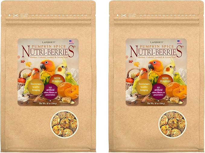 LAFEBER'S Pumpkin Spice Nutri-Berries Pet Bird Food, Made with Non-GMO and Human-Grade Ingredients, 10 oz Pack of 2 (Small Birds)