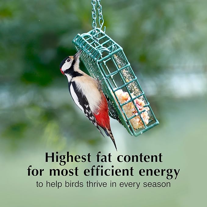 C&S Peanut Butter Delight No Melt Suet Dough, Suet Cakes for Wild Birds Including Wrens, Woodpeckers, Cardinals, Songbirds, Jays and More, 8 Pack