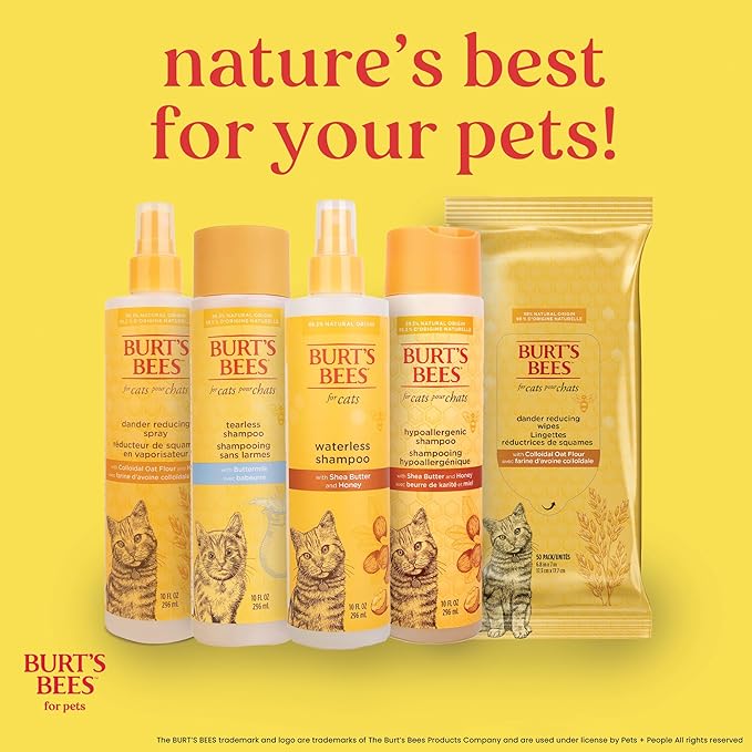 Burt's Bees for Pets Dander Reducing Cat Spray with Colloidal Oat Flour and Honey - Cat Dander Remover Gives Dry Skin Relief for Cats, Essential Kitten Supplies for Allergy Relief, 10 Fl Oz - 2 Pack