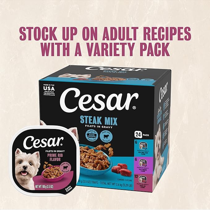 Cesar Filets in Gravy Adult Wet Dog Food Prime Rib Flavor, 3.5 oz. Easy Peel Dog Food Tray, 24 Count (Pack of 1)