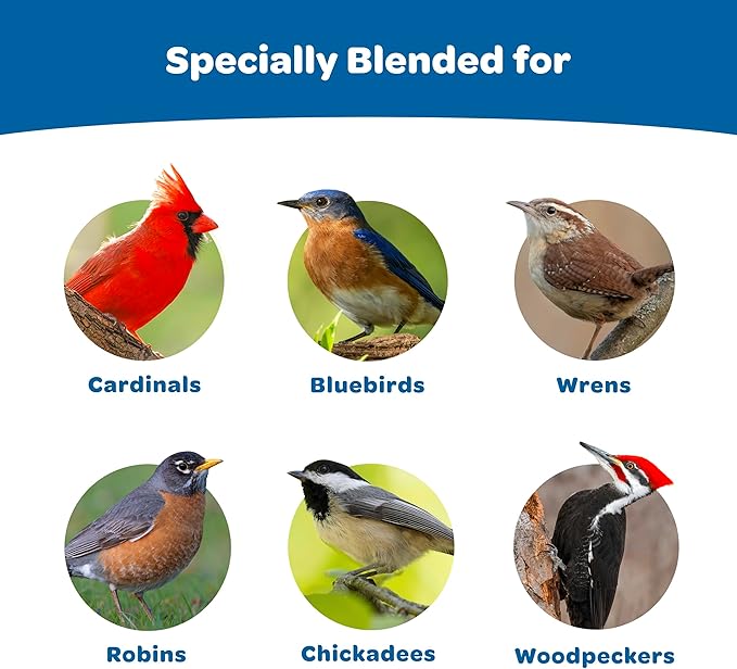 Kaytee Wild Bird Gourmet Seed Cake for Cardinals, Chickadees, Juncos, Titmice, Woodpeckers and More, 2 Pounds, 4 Count