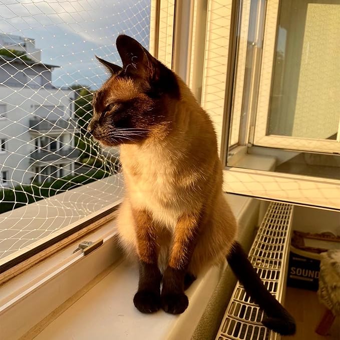 Cat Netting Balcony, Wire-reinforced Cat Net, Bite and Tear-resistant, UV and Weather-resistant, Balcony Cat Anti-Fall Netting for Pets, Cat Protection Net for Windows Patio Balcony - 10x26ft/3x8m