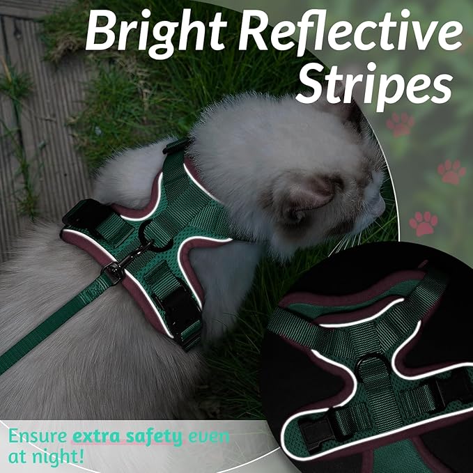 rabbitgoo Cat Harness and Leash for Walking, Escape Proof Soft Adjustable Vest Harnesses for Cats, Easy Control Breathable Reflective Strips Jacket, Green&Pink, XXS