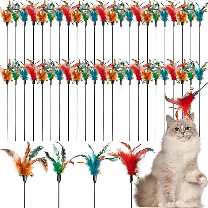 Leitee 50 Pcs Cat Wand Toy Feather Stick Cat Toy Feather Toys and Teaser Wand Bulk Interactive Stick for Indoor (Multi-Color)