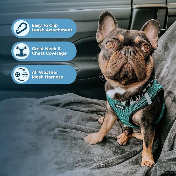 Best Pet Supplies Voyager Step-in Air Harness - All Weather Mesh, Reflective, No Pull Harness for Dogs, Cats - Secure with Hook & Loop Fastener, Buckle, Double D-Rings - Turqupise 2-Tone, S