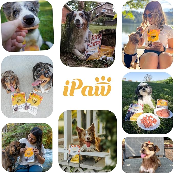 iPaw 3 Value Combo Chicken Tots Dog Treats for Puppy Training, All Natural Human Grade Dog Treat, Hypoallergenic, Easy to Digest (Chicken Tots), 3 Packs