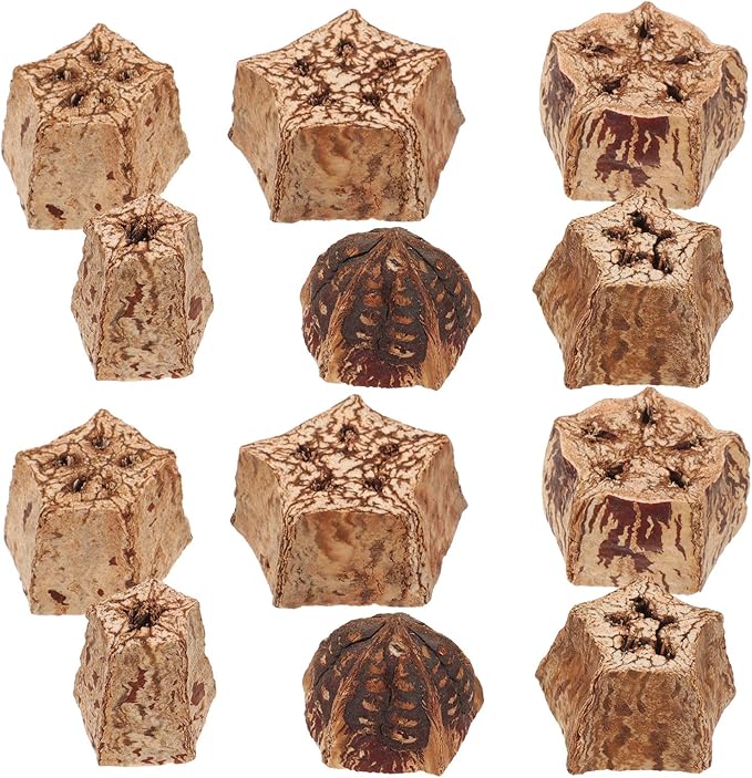 POPETPOP Parrot Foraging and Bird Shredding Natural Chewing Blocks 12Pcs Healthy Wooden Chew Treats for Parakeets and Small Birds Cage Accessories