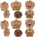 POPETPOP Parrot Foraging and Bird Shredding Natural Chewing Blocks 12Pcs Healthy Wooden Chew Treats for Parakeets and Small Birds Cage Accessories