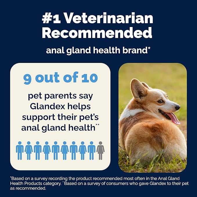 Vetnique Glandex Daily Probiotics for Dogs with Prebiotics to Support Gut Health with Fiber and Digestive Enzymes, Dog Probiotic Powder (8.5oz Powder, Pork Powder)