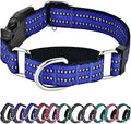 Hikiko Martingale Collar for Dogs Reflective Nylon Dog Collar with Quick Release Buckle Adjustable Training No Slip Dog Collar (Small, Blue)