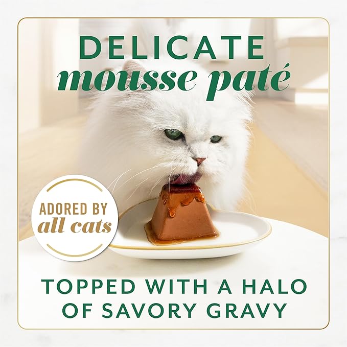 Fancy Feast Gems Pate Cat Food Mousse with Chicken and a Halo of Savory Gravy Cat Food - 4 oz. Boxes,(Pack of 16)