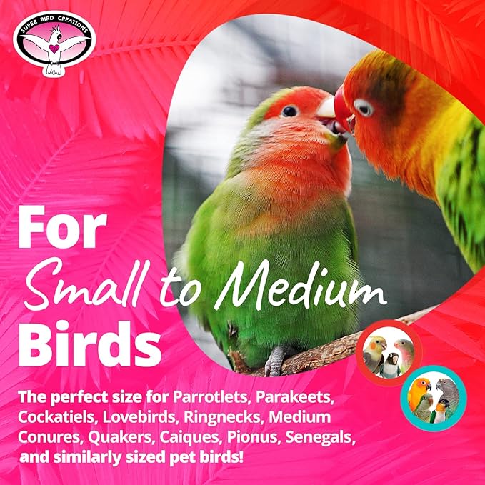 Super Bird Creations SB903 Baby Steps Bird Toy, Small Bird Size, 6.5" x 2"
