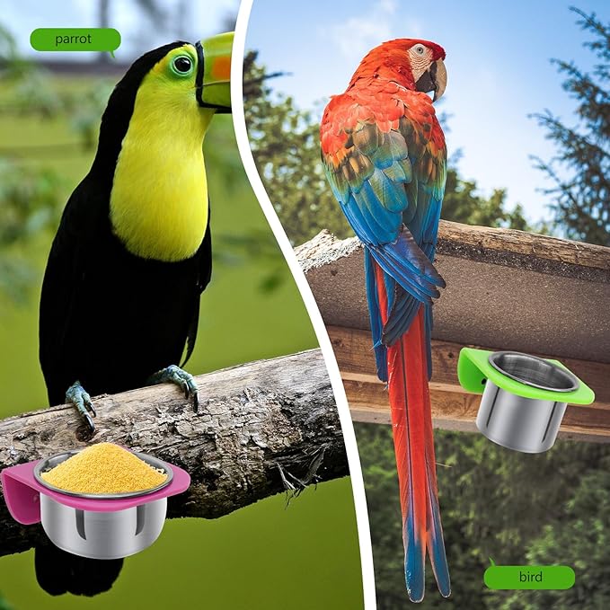 Yardwe Parrot Food Cup and Bird Feeder Bowl Set Small and Large Feeding Cups for Cage Stand Multi-Functional Bird Feeding and Watering Supplies for Pet Parrots